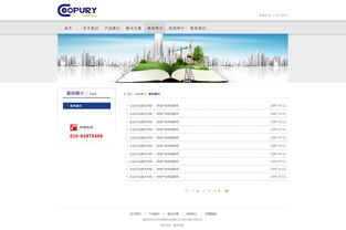 北京網(wǎng)站建設(shè) 原創(chuàng)先鋒，案例引領(lǐng)未來(lái)